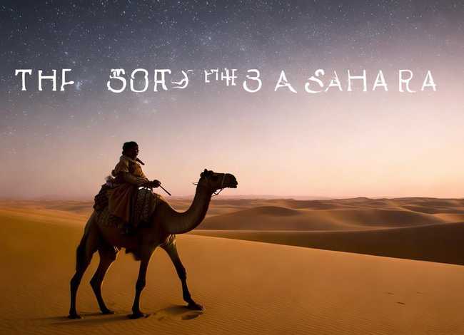 撒哈拉的故事简介 - 撒哈拉的故事简介内容