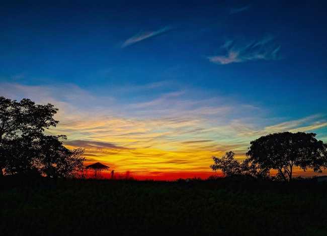播放稻草人故事 播放稻草人故事视频 播放稻草人故事 播放稻草人故事视频