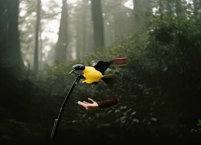 武则天的故事50字（武则天的历史故事50字）