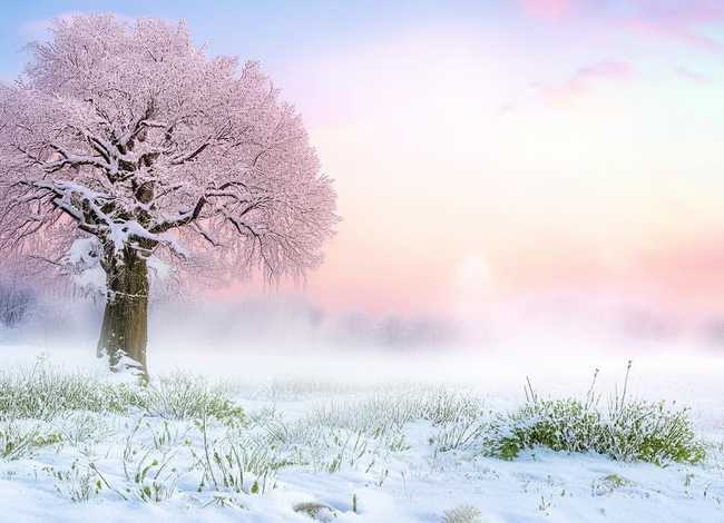 冬天来了故事大全 冬天来了故事也该翻篇了