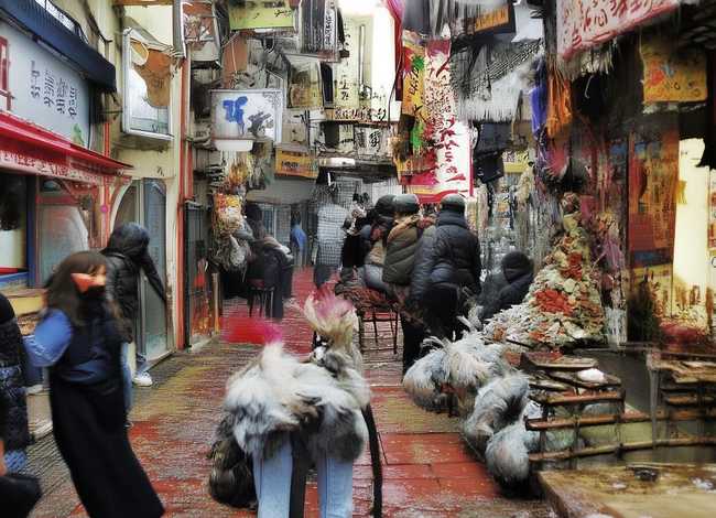 5岁儿童成都故事(5岁成语故事) 5岁儿童成都故事(5岁成语故事)