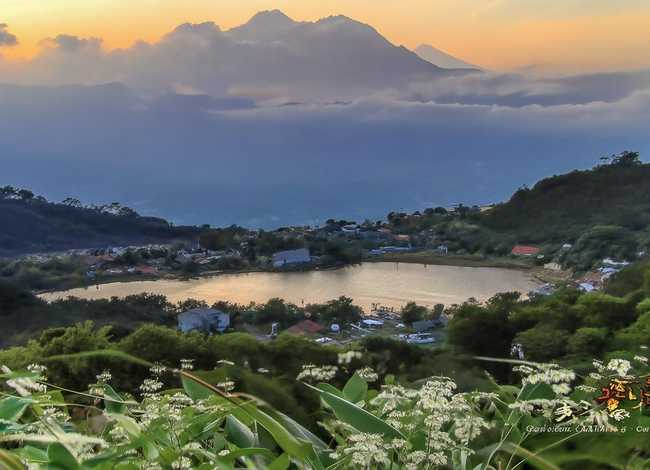 撒哈拉的故事免费阅读 撒哈拉的故事免费阅读小说