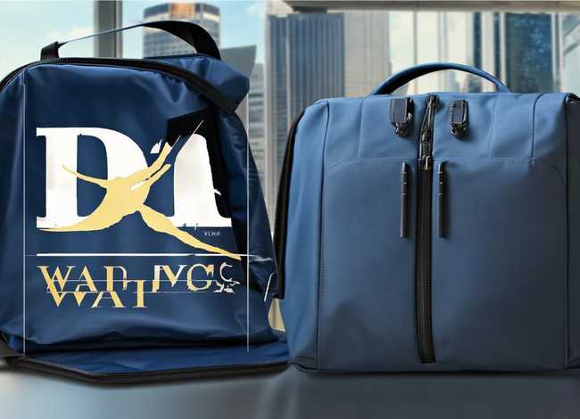 大王腰包官网（大王腰包官网查询）