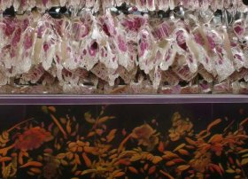 海豚的故事儿童简短50字（关于海豚的小故事50个字）