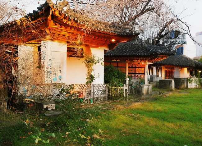 柔术小朋友（小朋友柔术视频）