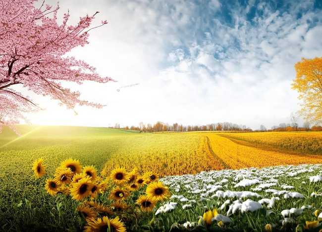 春夏秋冬有关的故事、春夏秋冬有关的故事有哪些