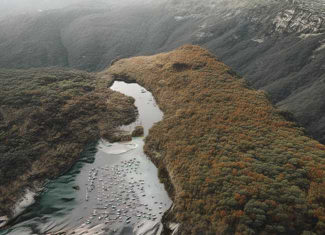 古代儿童聪慧机敏的故事 写古代儿童聪慧机敏的故事50字