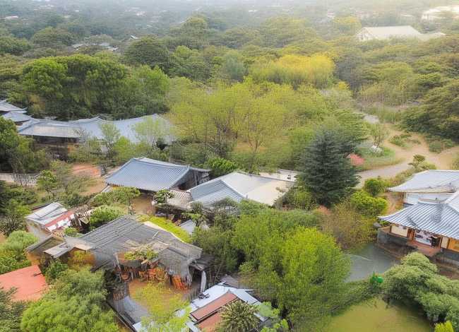 乌鸦反哺的故事50字 乌鸦反哺的故事50字概括