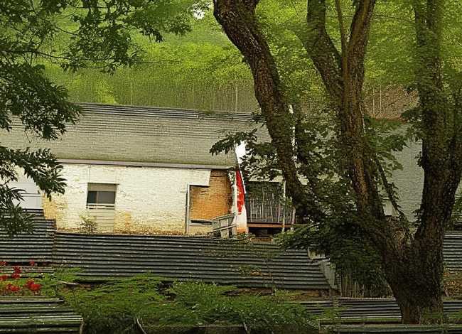 苹果树的故事告诉了我们什么道理，苹果树的故事告诉了我们什么道理啄木鸟