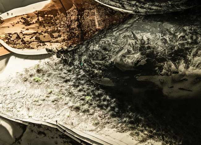 体育教师成长故事，体育教师成长故事心得体会