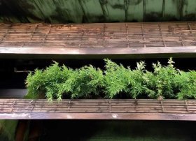 父爱的故事100字左右 父爱的故事100字左右三年级