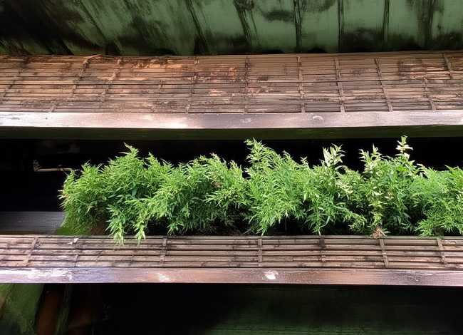 父爱的故事100字左右 父爱的故事100字左右三年级