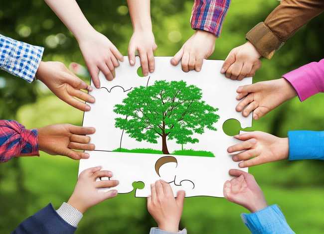 团队精神小故事及道理，团队精神小故事及道理简短