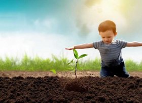 植树幼儿故事 - 植树幼儿故事简短