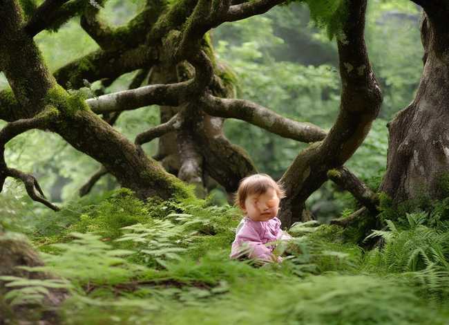 榕树的小故事儿童，榕树的历史故事