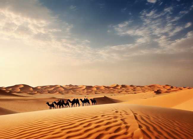 撒哈拉的故事在线阅读完整版免费，撒哈拉的故事在线阅读完整版免费下载