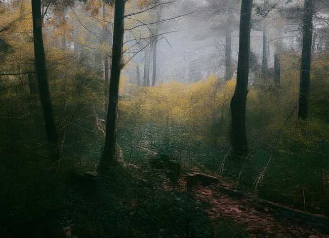 一窍不通成语故事读后感60字 - 一窍不通成语故事读后感