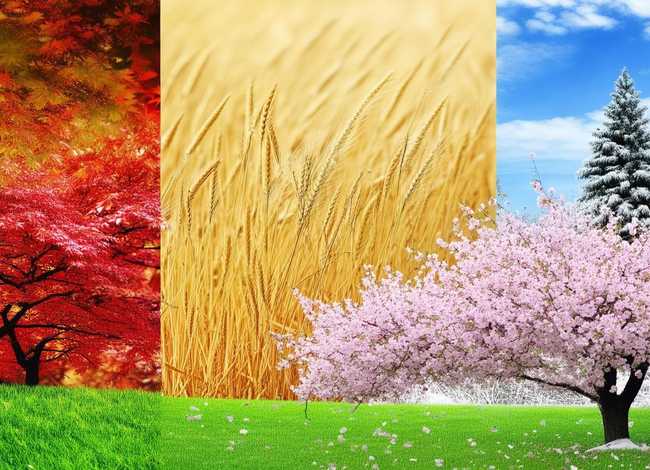 关于四季故事（关于四个季节的故事）