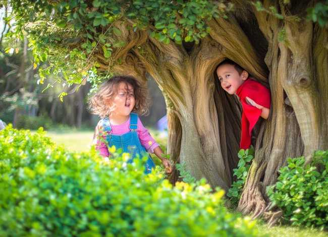 捉迷藏的幼儿故事 捉迷藏的幼儿故事简短