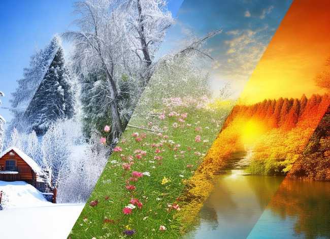 关于四季的故事四篇 - 关于四季的故事四篇作文