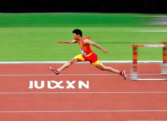 刘翔的故事完整视频（刘翔的故事完整视频大全）