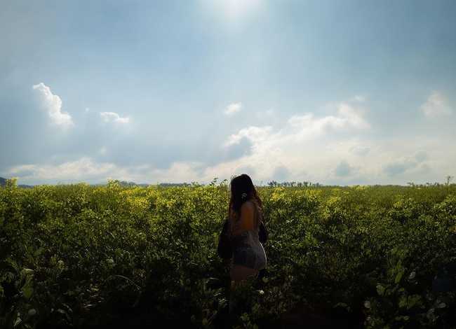 苏格拉底的故事告诉我们什么（苏格拉底的故事告诉我们什么启示）