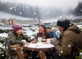 五指山茶园亲子游 冬季哪里适合亲子游