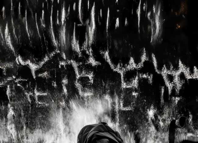 种子的小故事30字 一粒种子变成参天大树的童话故事