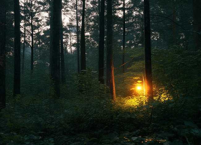 短篇小故事绘本 - 《萤火虫找朋友》儿童绘本故事分享