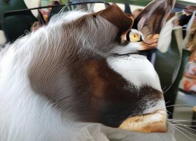 叙事性故事100字 以()笑了为题写一篇叙事性作文不少于650字