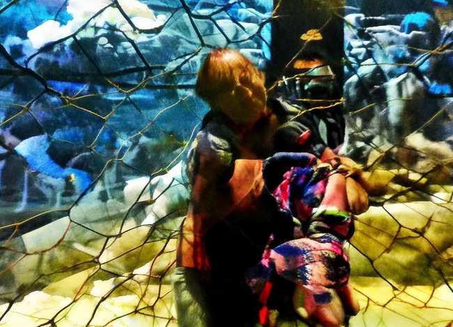 传统节日儿童故事、传统节日的故事20个字