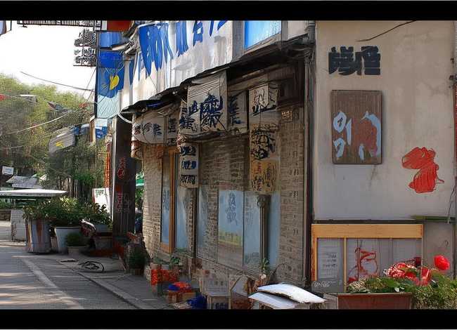 鸵鸟的故事告诉我们 - 山中驼鸟读后感200字