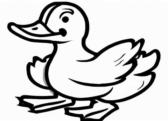 黑白儿童画图片大全 - 黑白卡通小鸭子简笔画画法图片步骤