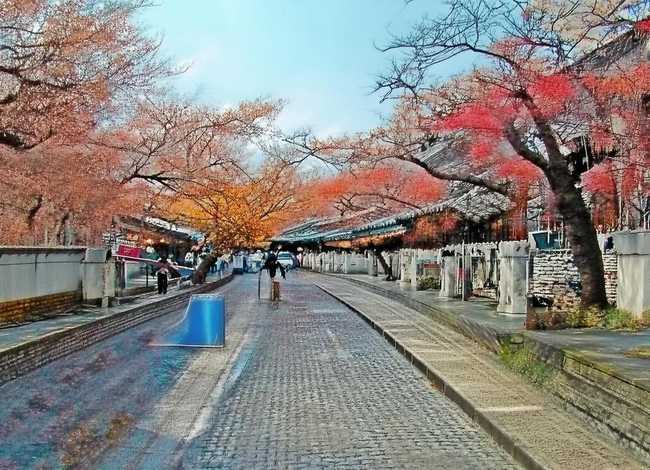 种子的小故事30字 一粒种子变成参天大树的童话故事