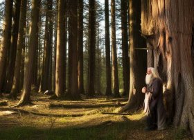 持之以恒的视频故事；持之以恒成语故事