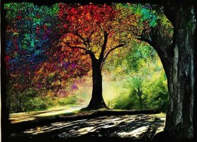 叶子的故事有声书；关于托物言志的散文