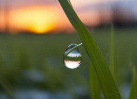 小水珠的故事告诉我们什么道理 伊索寓言中的小水珠和大浪读了这篇短文,你明白了一个什么道理呢