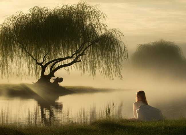 柳树的小故事 咏柳改成小故事 柳树的小故事 咏柳改成小故事