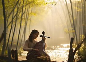 柳桥的故事童声歌曲（二胡小白杨是几级曲）