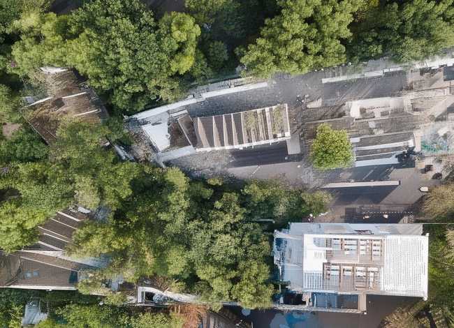 美丽的牵牛花怎么写；描写牵牛花的排比句