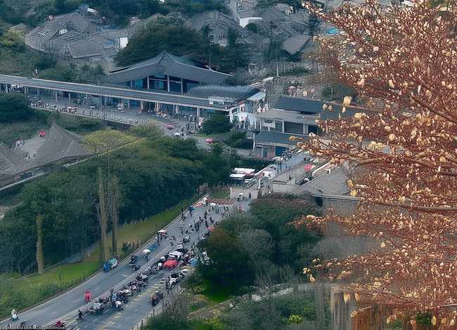 燕子搭窝的过程怎样写30字 燕子垒窝