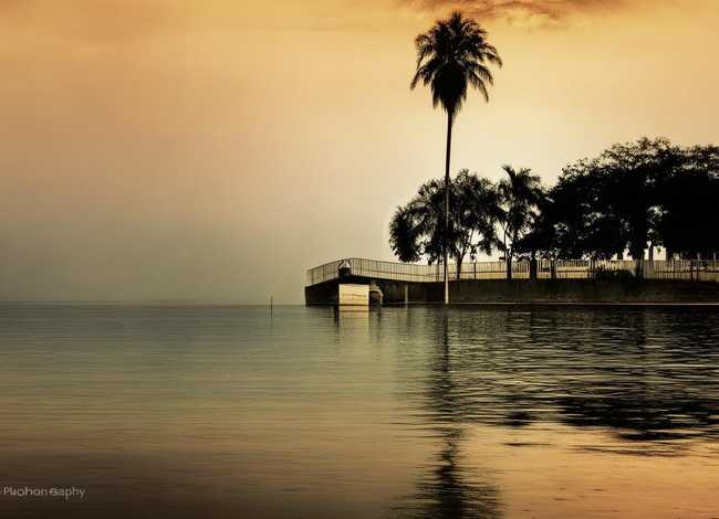 小动物过斑马线的故事 - 西湖鸳鸯妈妈带四只小鸳鸯过马路,这是一幅什么样的画面 小动物过斑马线的故事 - 西湖鸳鸯妈妈带四只小鸳鸯过马路,这是一幅什么样的画面