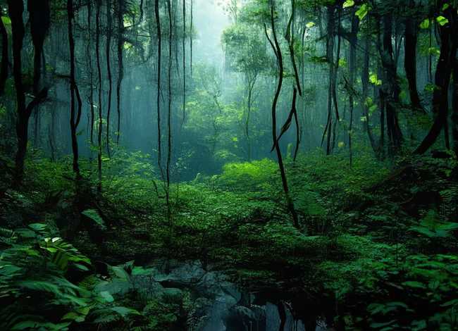 沼泽王的女儿儿童故事（沼泽王的女儿故事详情）