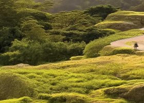 猪猪侠故事大全睡前故事，宅家带娃如何让娃不孤独