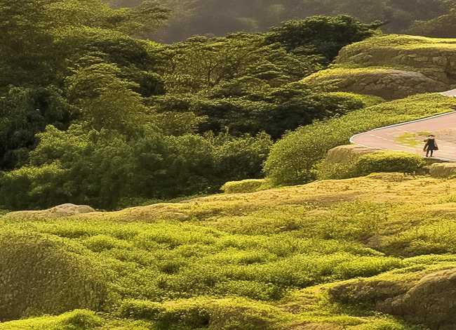 猪猪侠故事大全睡前故事，宅家带娃如何让娃不孤独