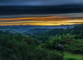 小动物过斑马线的故事 - 西湖鸳鸯妈妈带四只小鸳鸯过马路,这是一幅什么样的
