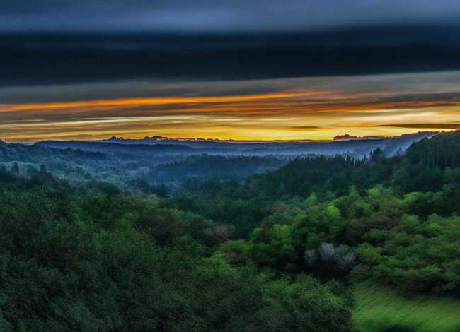 小动物过斑马线的故事 - 西湖鸳鸯妈妈带四只小鸳鸯过马路,这是一幅什么样的画面 小动物过斑马线的故事 - 西湖鸳鸯妈妈带四只小鸳鸯过马路,这是一幅什么样的画面