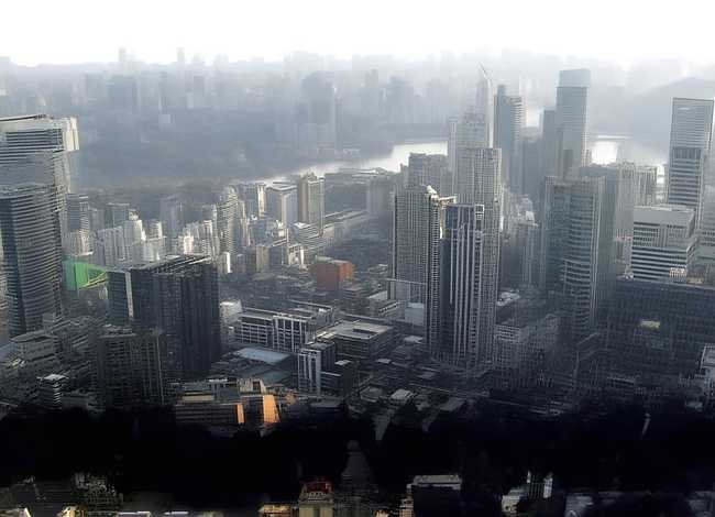 能听懂动物说话的童话故事 猎人海力布的缩写10字