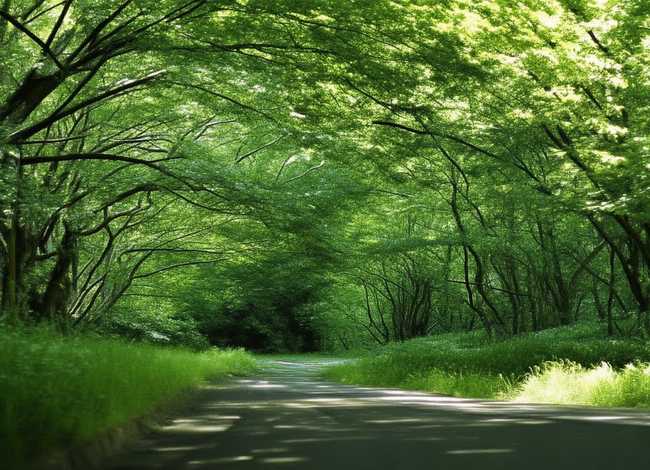 沼泽里的故事主要讲什么 - 沼泽里的故事告诉我们什么道理