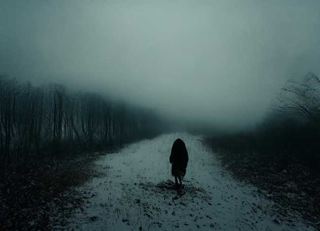 沼泽里的故事简笔画（中考作文400字）